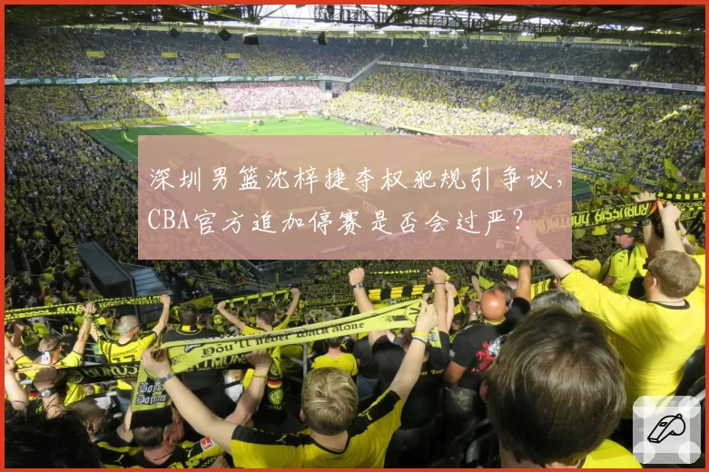 深圳男篮沈梓捷夺权犯规引争议，CBA官方追加停赛是否会过严？