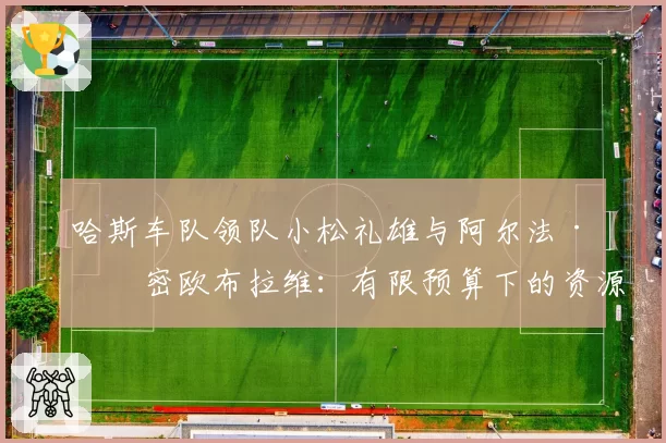 哈斯车队领队小松礼雄与阿尔法·罗密欧布拉维:有限预算下的资源分配策略对比