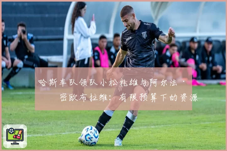 哈斯车队领队小松礼雄与阿尔法·罗密欧布拉维:有限预算下的资源分配策略对比